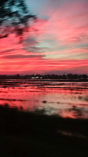 Photo from customer review