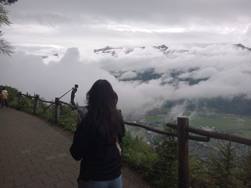 Photo from customer review