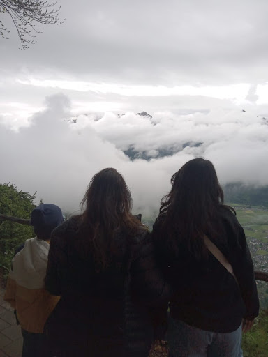 Photo from customer review